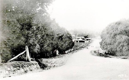 Enlarge photo 349