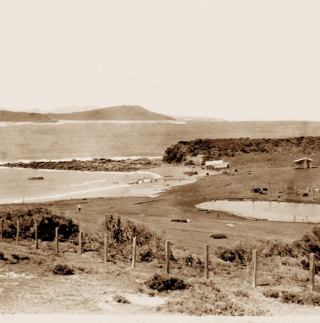 Enlarge photo 355