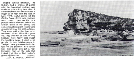Enlarge photo 374