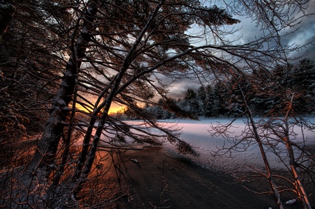 Enlarge photo 5