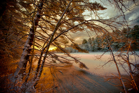 Enlarge photo 10