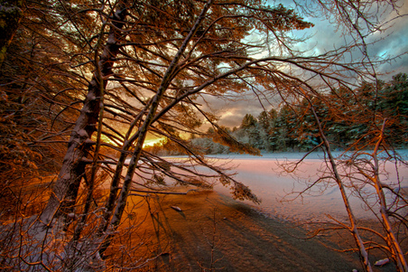 Enlarge photo 11