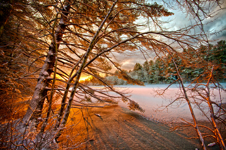 Enlarge photo 13