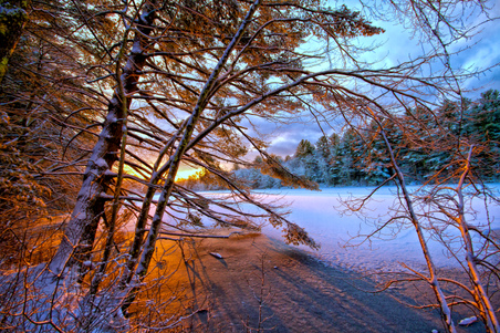 Enlarge photo 14