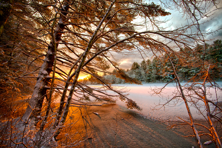 Enlarge photo 15