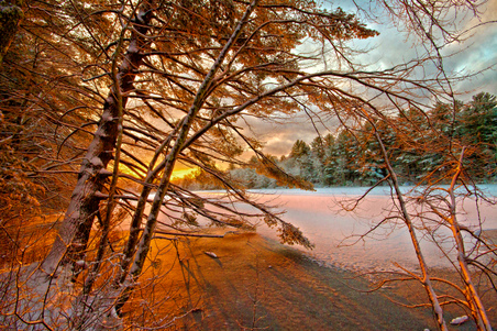 Enlarge photo 16
