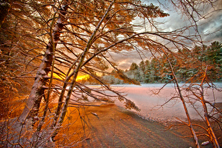 Enlarge photo 17