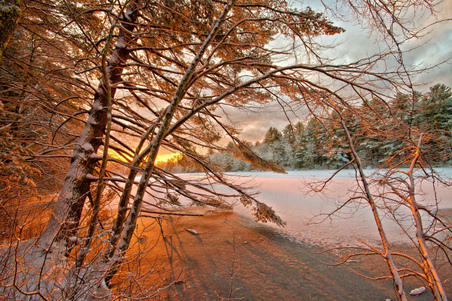 Enlarge photo 19