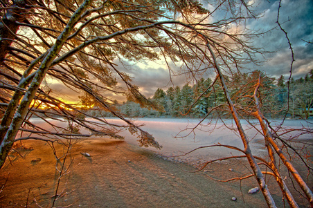 Enlarge photo 24