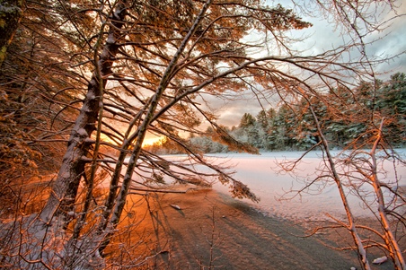 Enlarge photo 23
