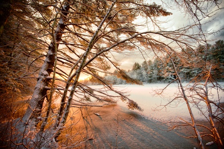 Enlarge photo 25