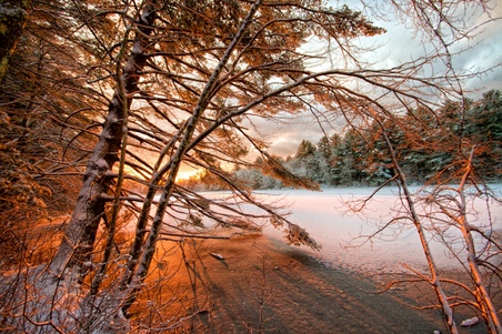 Enlarge photo 26