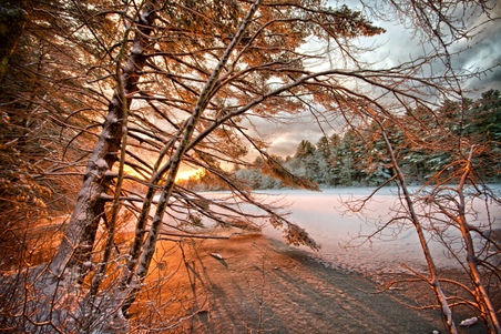 Enlarge photo 27
