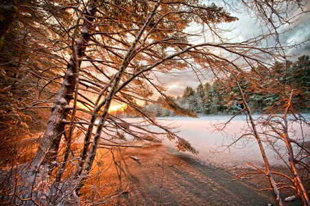Enlarge photo 28