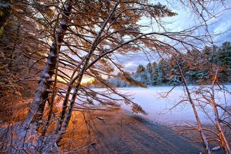 Enlarge photo 29