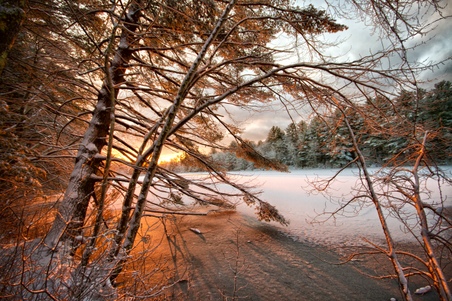 Enlarge photo 31