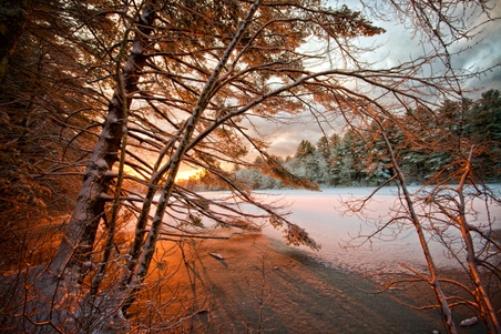 Enlarge photo 30