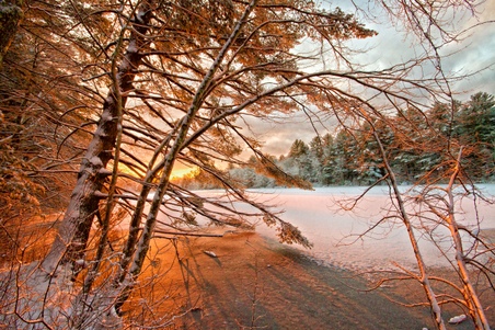 Enlarge photo 32