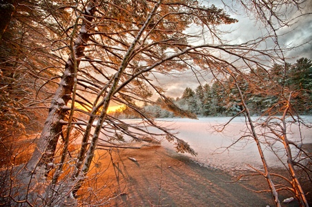 Enlarge photo 34