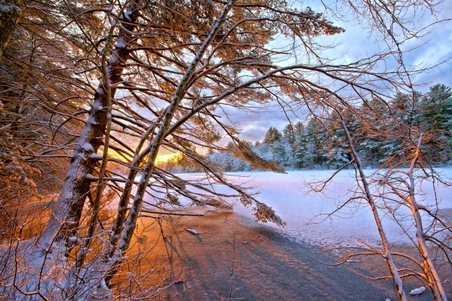 Enlarge photo 36
