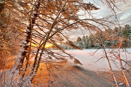 Enlarge photo 35