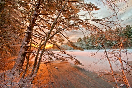 Enlarge photo 37