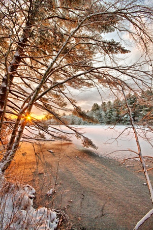 Enlarge photo 40