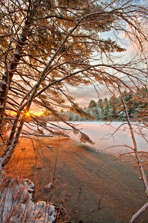 Enlarge photo 39