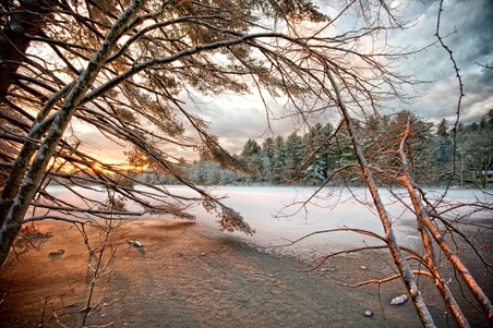 Enlarge photo 38