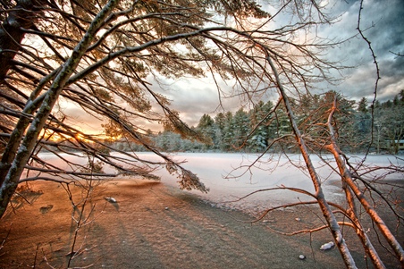 Enlarge photo 41