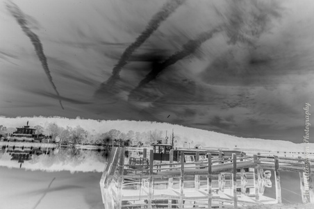 Enlarge photo 67
