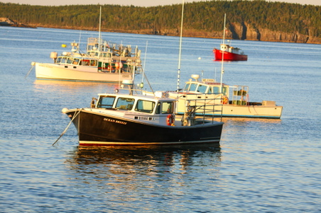 Enlarge photo 4