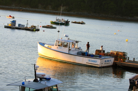 Enlarge photo 10