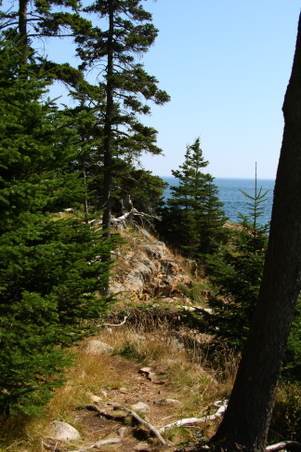 Enlarge photo 20