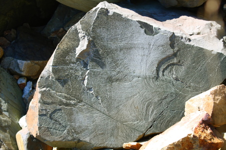 Enlarge photo 22