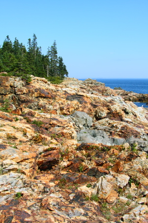 Enlarge photo 27