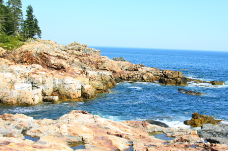 Enlarge photo 28