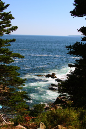 Enlarge photo 29