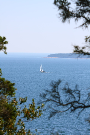 Enlarge photo 30