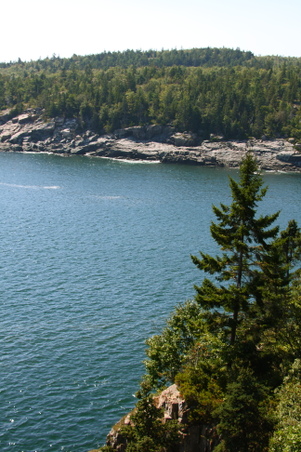 Enlarge photo 31