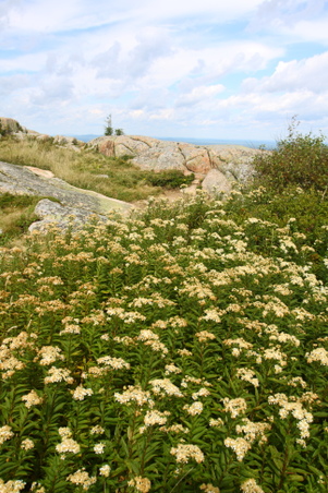 Enlarge photo 32