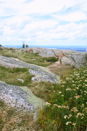 Enlarge photo 33