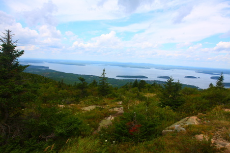 Enlarge photo 34