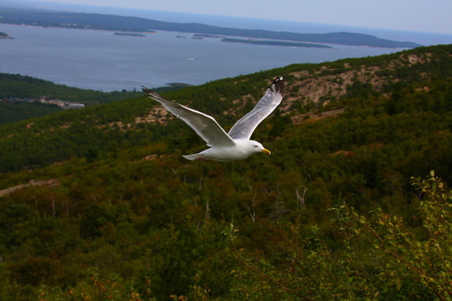 Enlarge photo 35