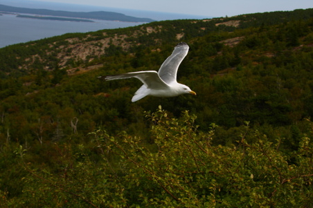 Enlarge photo 36