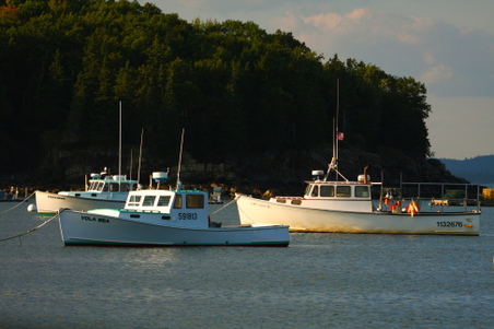 Enlarge photo 41