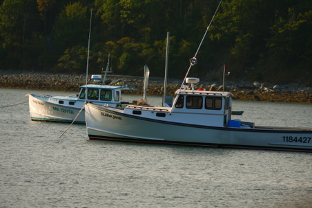 Enlarge photo 42