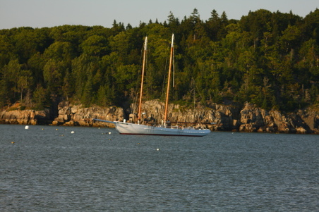 Enlarge photo 44