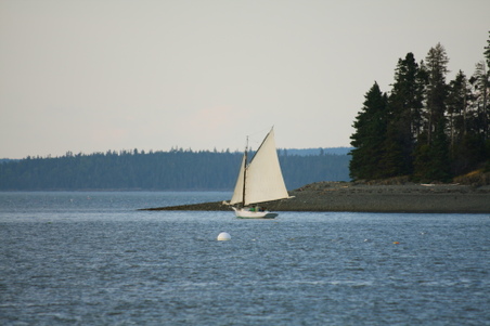 Enlarge photo 46
