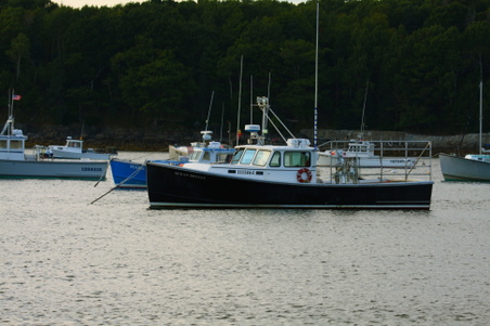 Enlarge photo 47